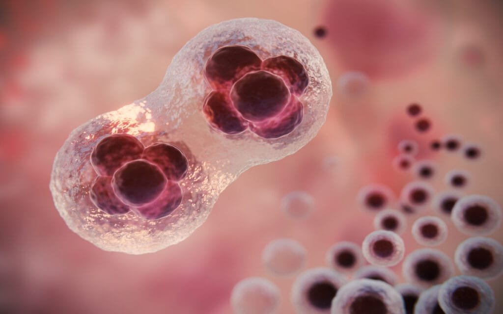 Transplantes de Microbiota Intestinal